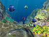 More info about 3D Coral World Screen Saver