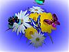 More info about 3D Wonderful Flowers