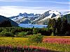More info about Alaskan Sketches Free Screen Saver