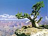 More info about American Canyons Free Screen Saver