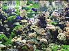 More info about Aquarium Screen Saver High Quality