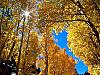 More info about Autumnal Colors Free Screen Saver