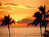 More info about Banana Sunset Screen Saver
