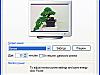More info about Bonsai Trees Screen Saver