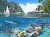 More info about Caribbean Islands 3D Screen Saver