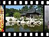 More info about China Screen Saver