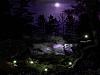 More info about Dark Forest screensaver
