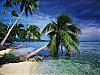 More info about dArt Tropical Islands vol.1