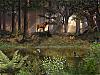 More info about Deep in the Forest - Screen Saver