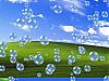 More info about EIPC Bubbles 3D Screen Saver