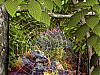 More info about Forest Life 3D Screen Saver