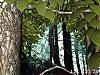 More info about Forest World 3D Screen Saver