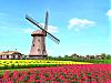 More info about Free 3D Windmill Screen Saver