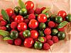 More info about Fresh Fruits Free Screen Saver