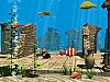 More info about Funny Fish