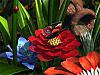 More info about Garden Flowers 3D Screen Saver