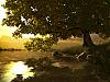 Download Lake Tree 3D Screen Saver