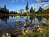 Download Lakeside Screen Saver