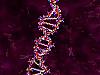 Download Living Cell 3D Screen Saver