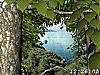 Download Living Forest 3D Screen Saver