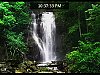 More info about Living Nature Screen Saver