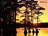 Download Lurid Sunset Screen Saver