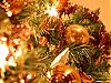 Download Magic Holiday Screen Saver