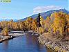 Download Mountain Forest