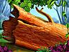 More info about Nature Paintings Free Screen Saver