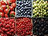 Download Perfect Diet Screen Saver