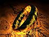 More info about The One Ring 3D Screen Saver
