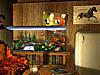 More info about Tropical Beach Bungalow 3D Screen Saver