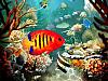 More info about Tropical Fish 3D Screen Saver