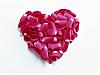 More info about Valentine Gifts Free Screen Saver