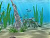 More info about Water Life