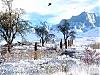 More info about Winter Valley Screen Saver